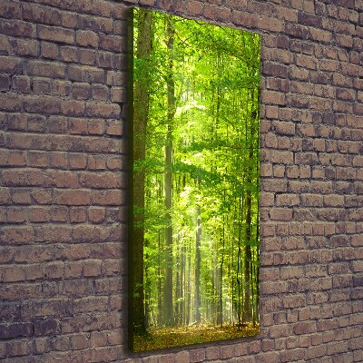 Quadro foto su tela verticale Foresta di faggi