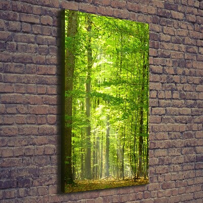 Quadro foto su tela verticale Foresta di faggi