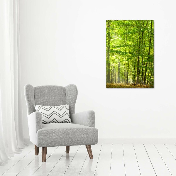 Quadro foto su tela verticale Foresta di faggi