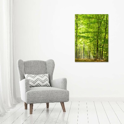 Quadro foto su tela verticale Foresta di faggi