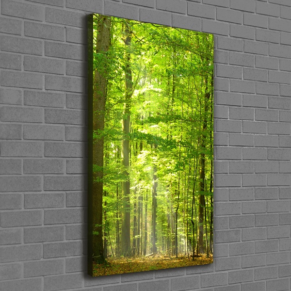Quadro foto su tela verticale Foresta di faggi