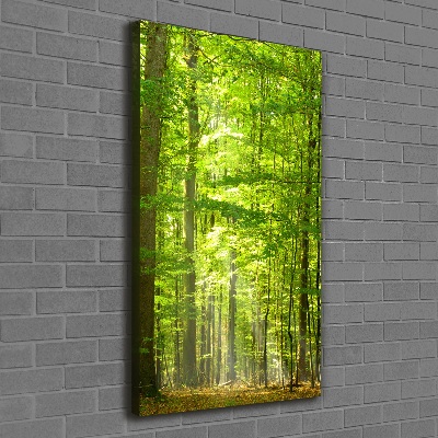 Quadro foto su tela verticale Foresta di faggi
