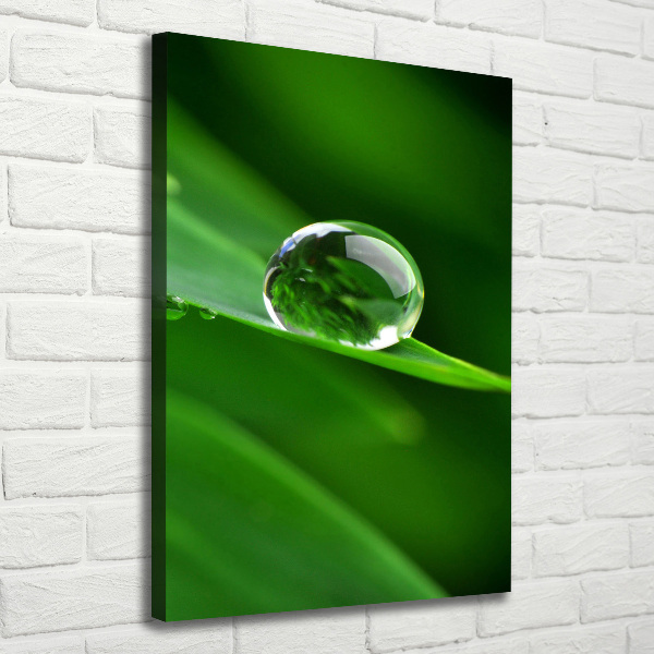 Quadro su tela canvas verticale Un filo d'erba