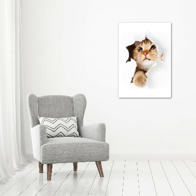 Quadro su tela canvas verticale Gatto