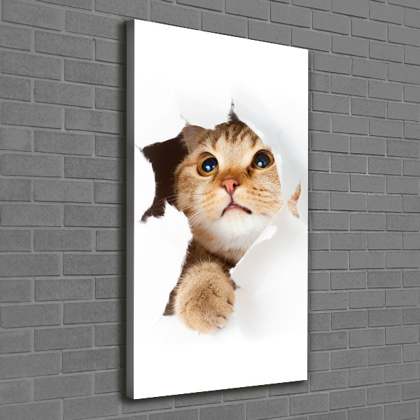 Quadro su tela canvas verticale Gatto