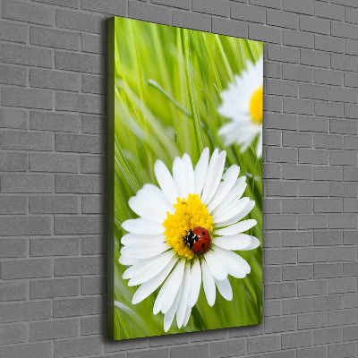 Stampa quadro su tela verticale Margherite