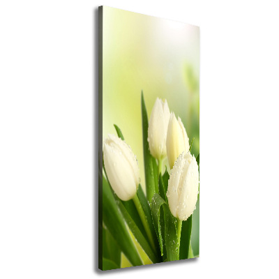 Quadro foto su tela verticale Tulipani bianchi