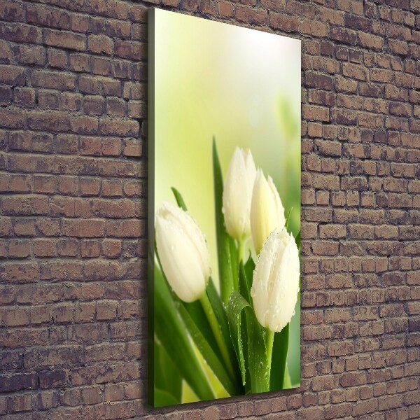 Quadro foto su tela verticale Tulipani bianchi