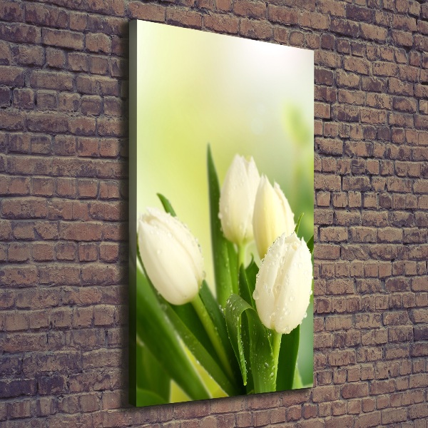 Quadro foto su tela verticale Tulipani bianchi