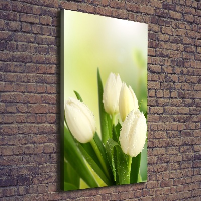 Quadro foto su tela verticale Tulipani bianchi