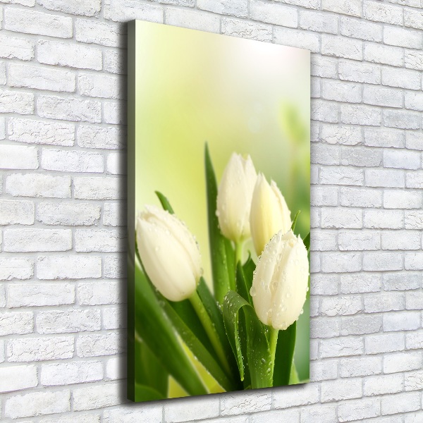 Quadro foto su tela verticale Tulipani bianchi