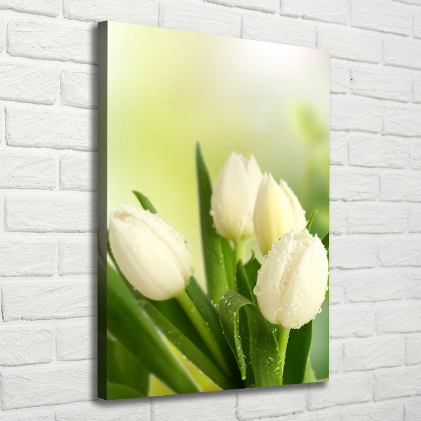 Quadro foto su tela verticale Tulipani bianchi