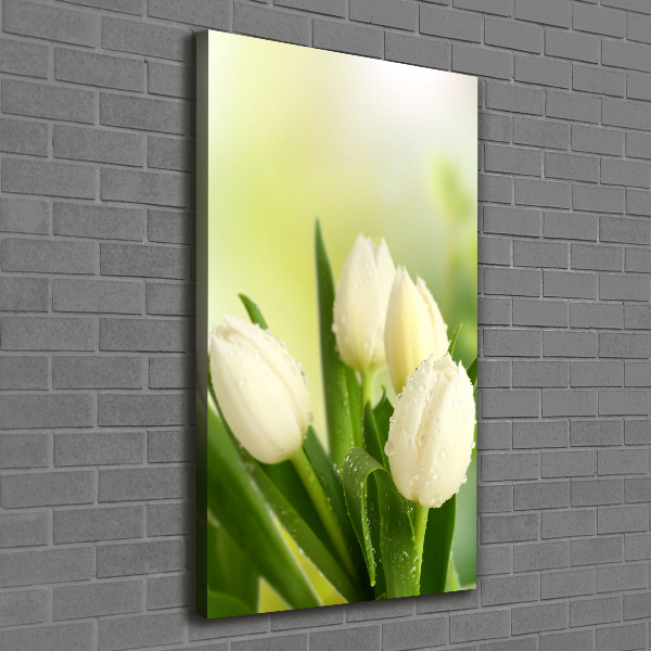 Quadro foto su tela verticale Tulipani bianchi