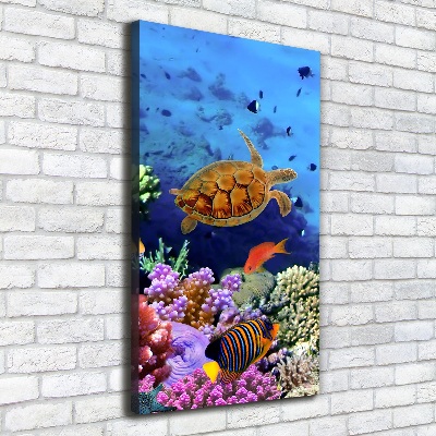 Quadro foto su tela verticale Barriera corallina