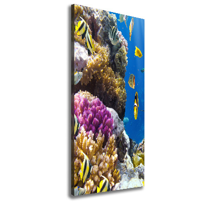 Stampa quadro su tela verticale Barriera corallina