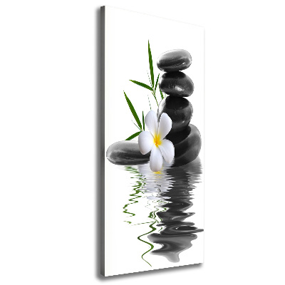 Quadro su tela canvas verticale Orchidea e pietre