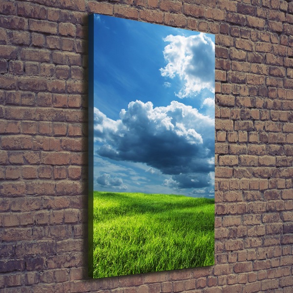 Quadro foto su tela verticale Nuvole sul campo