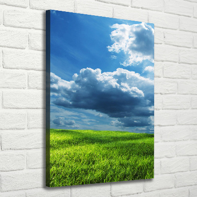 Quadro foto su tela verticale Nuvole sul campo