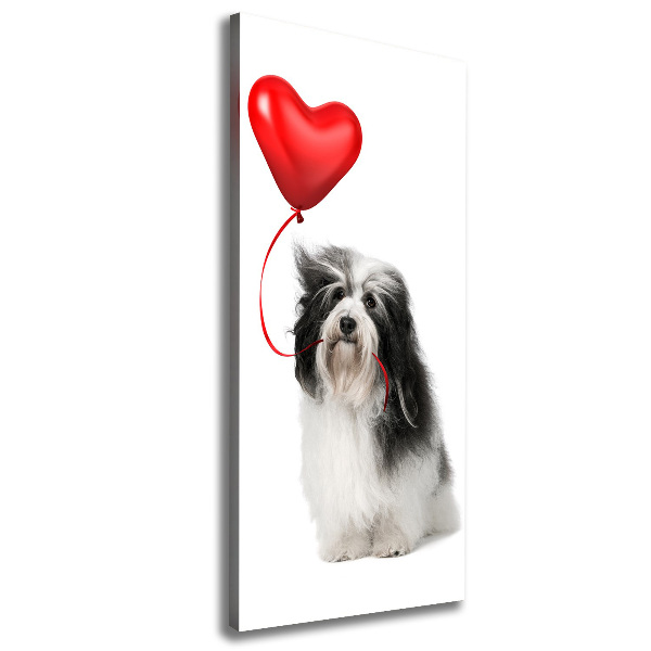 Quadro su tela canvas verticale Havanese con un palloncino