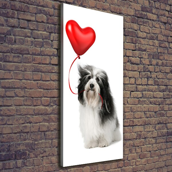 Quadro su tela canvas verticale Havanese con un palloncino