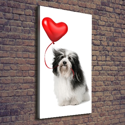 Quadro su tela canvas verticale Havanese con un palloncino