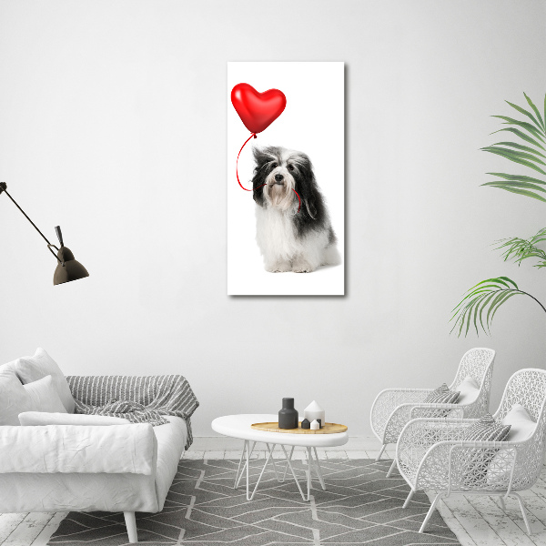 Quadro su tela canvas verticale Havanese con un palloncino