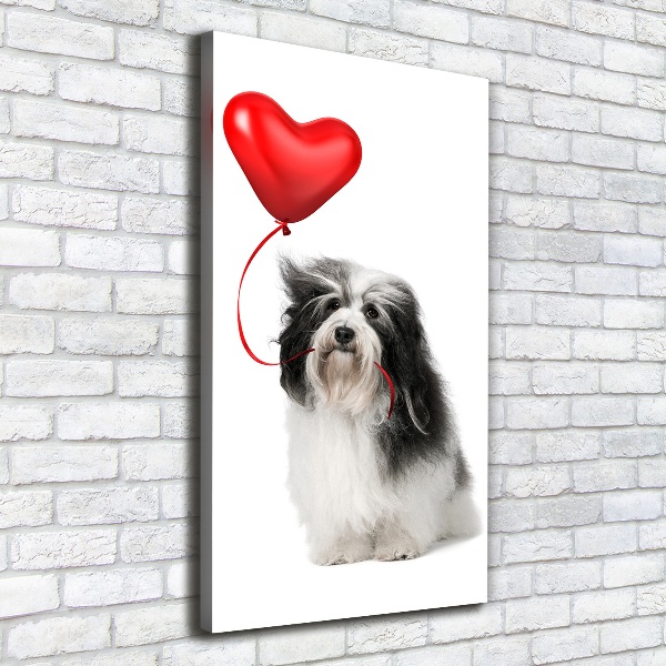 Quadro su tela canvas verticale Havanese con un palloncino