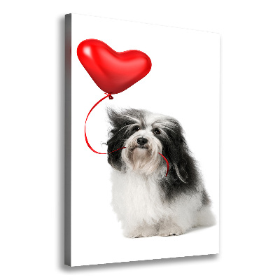 Quadro su tela canvas verticale Havanese con un palloncino