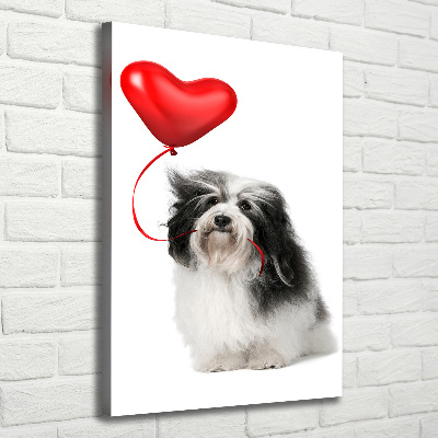 Quadro su tela canvas verticale Havanese con un palloncino
