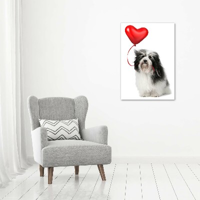 Quadro su tela canvas verticale Havanese con un palloncino