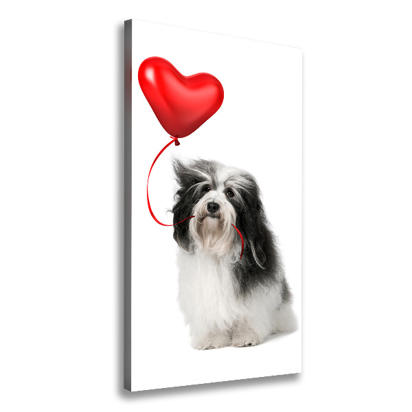 Quadro su tela canvas verticale Havanese con un palloncino
