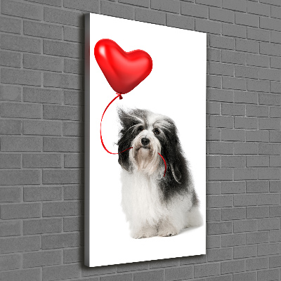 Quadro su tela canvas verticale Havanese con un palloncino