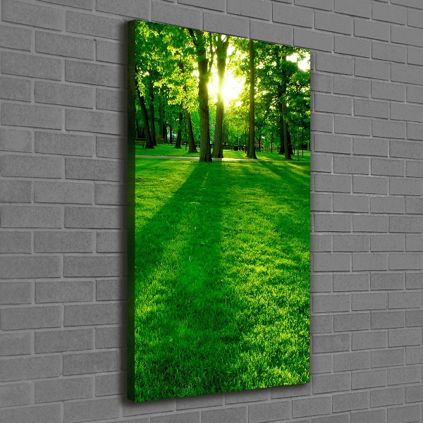 Quadro su tela canvas verticale Sole al parco