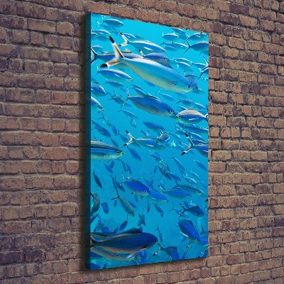 Quadro foto su tela verticale Pesce corallo