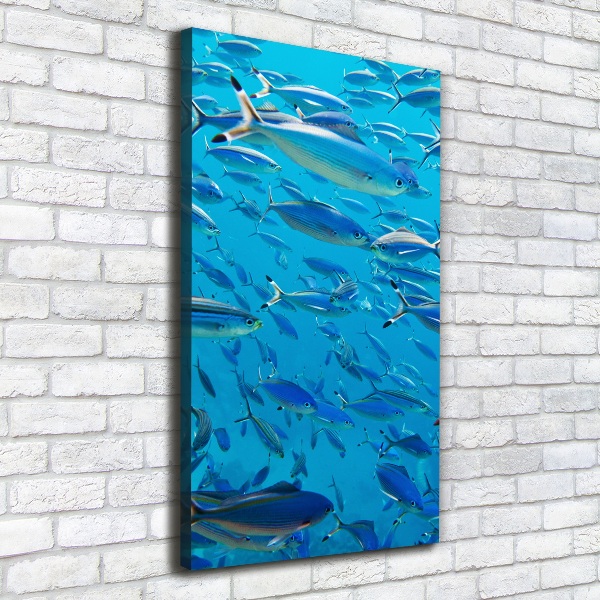 Quadro foto su tela verticale Pesce corallo