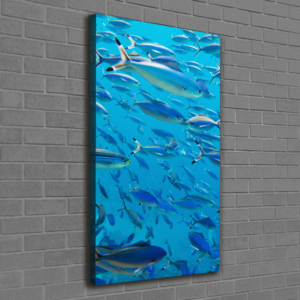 Quadro foto su tela verticale Pesce corallo