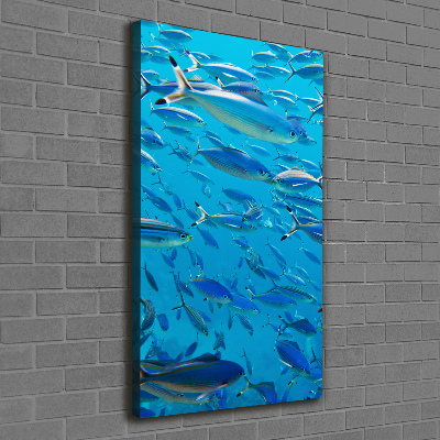 Quadro foto su tela verticale Pesce corallo