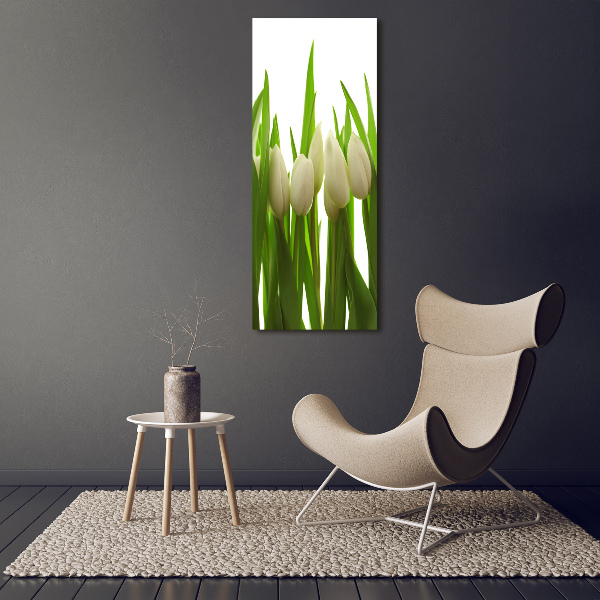 Quadro foto su tela verticale Tulipani bianchi