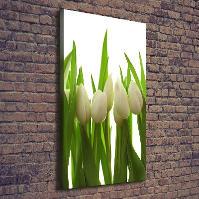 Quadro foto su tela verticale Tulipani bianchi