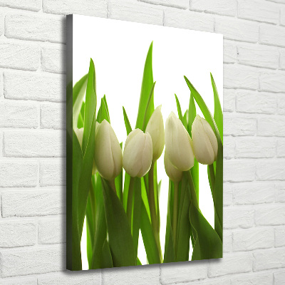 Quadro foto su tela verticale Tulipani bianchi