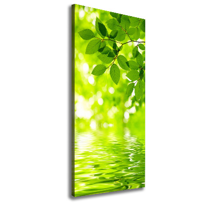 Quadro su tela canvas verticale Foglie verdi