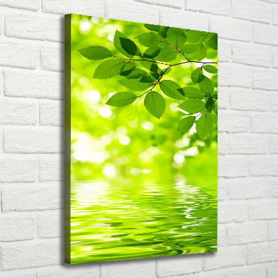 Quadro su tela canvas verticale Foglie verdi