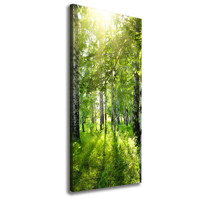 Quadro foto su tela verticale Foresta di betulle