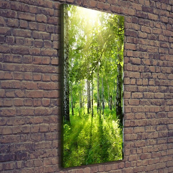 Quadro foto su tela verticale Foresta di betulle