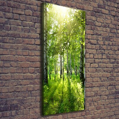 Quadro foto su tela verticale Foresta di betulle
