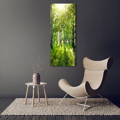 Quadro foto su tela verticale Foresta di betulle