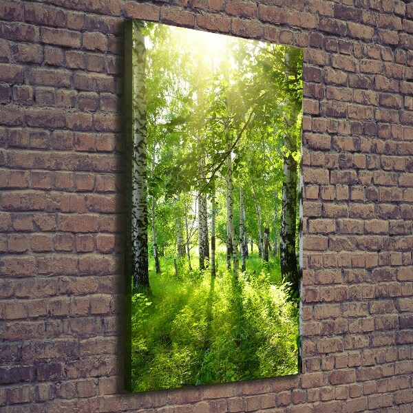 Quadro foto su tela verticale Foresta di betulle