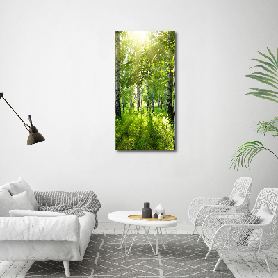 Quadro foto su tela verticale Foresta di betulle