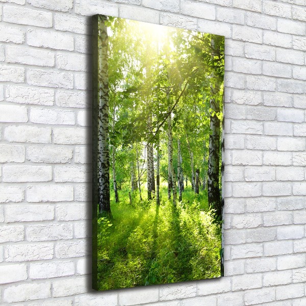 Quadro foto su tela verticale Foresta di betulle