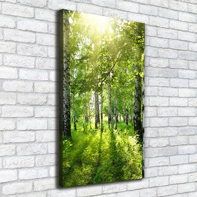 Quadro foto su tela verticale Foresta di betulle